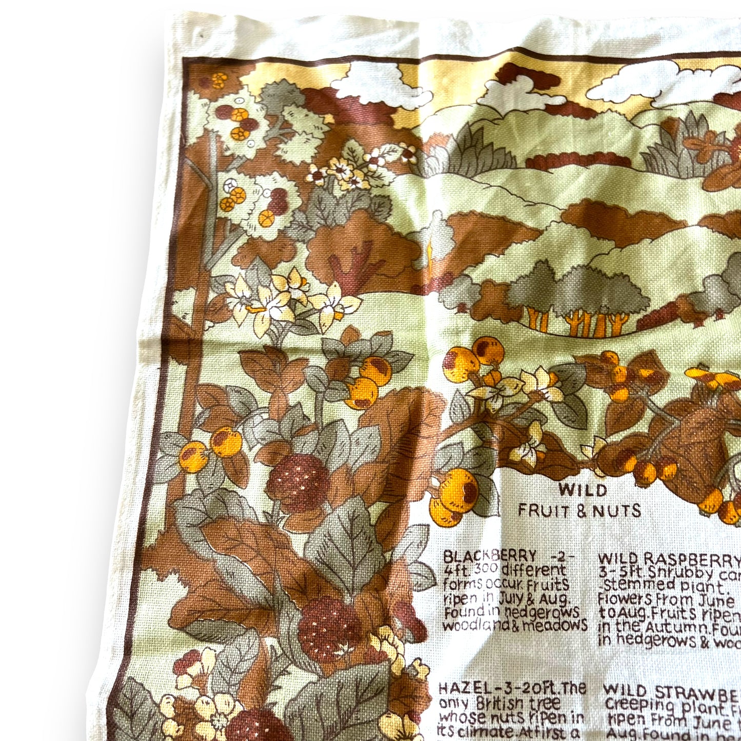 Fruit & Nut Tea Towel