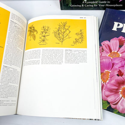 Plants Hard Cover Book Bundle