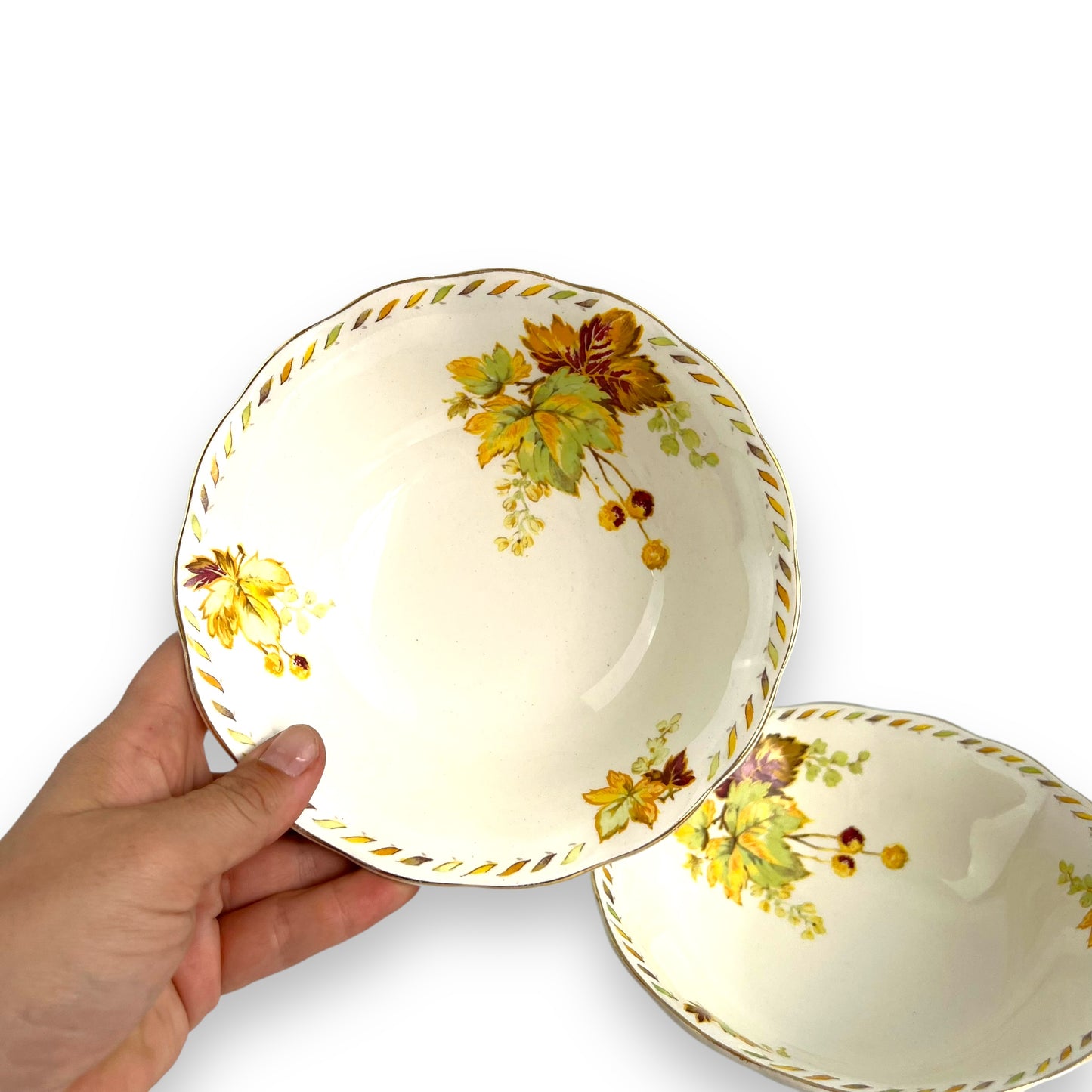 Creampetal Grindley England “Bundarra” Design Serving Bowl Set of 6