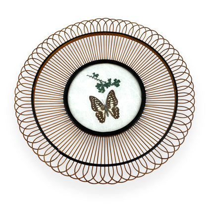 Decorative Butterfly Plate