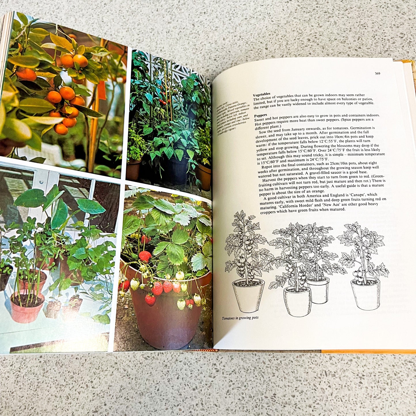 The book of Houseplants hard cover by David Squire and Pete McHoy