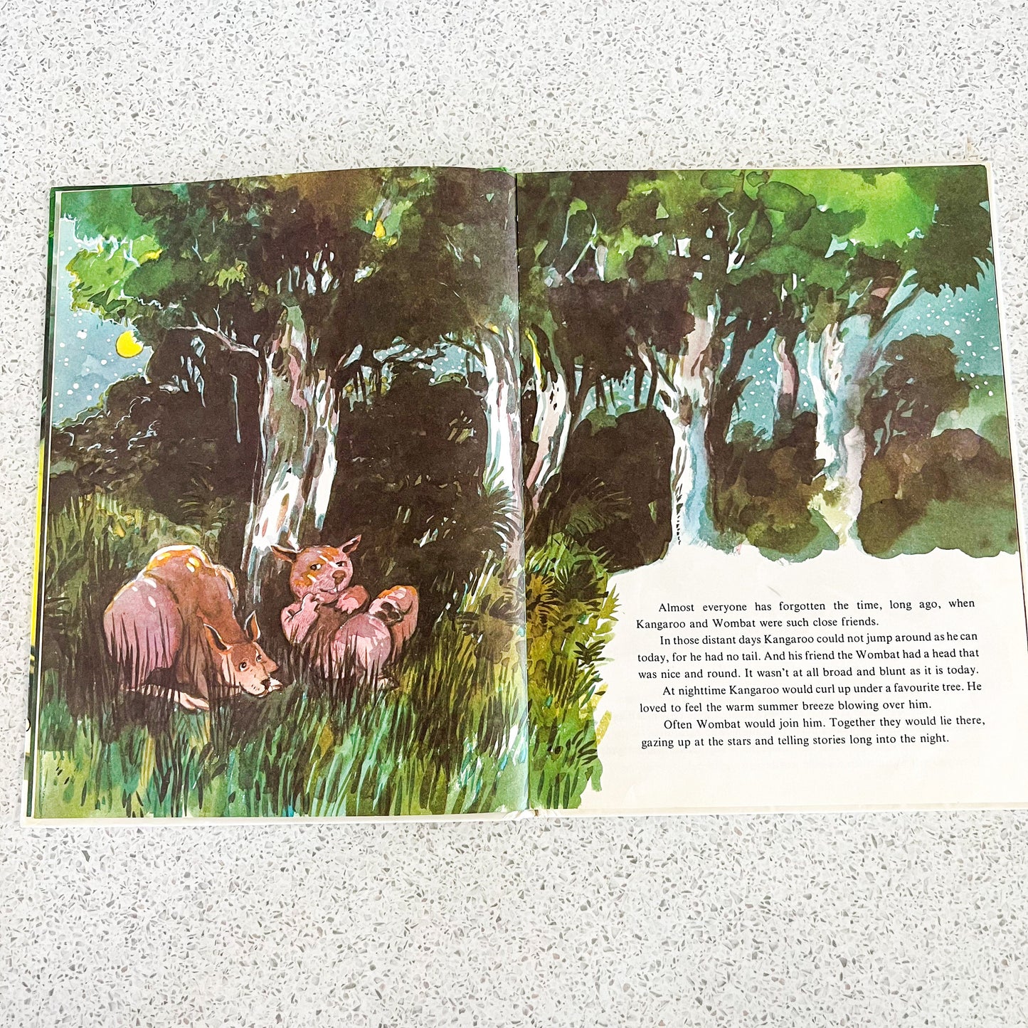 The tale of the kangaroo by L.G Adams 1979 Childrens Book